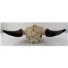 Image 3 : Nice Large Montana Buffalo Skull
