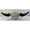 Image 7 : Nice Large Montana Buffalo Skull