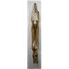 Image 2 : Beautiful Ranch Red Fox Fur Pelt Taxidermy