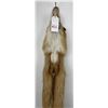 Image 3 : Beautiful Ranch Red Fox Fur Pelt Taxidermy