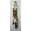 Image 2 : Beautiful Ranch Red Fox Fur Pelt Taxidermy