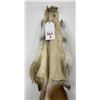 Image 3 : Beautiful Ranch Red Fox Fur Pelt Taxidermy