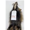 Image 3 : Beautiful Ranch Cross Fox Fur Pelt Taxidermy