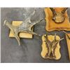 Image 4 : Group of Montana Deer Moose Horns on Plaques