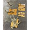 Image 5 : Group of Montana Deer Moose Horns on Plaques