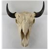 Image 1 : Nice Large Montana Buffalo Skull