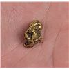 Image 1 : Huge Antique Alaskan Gold Nugget 15 Grams