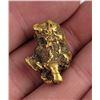 Image 2 : Huge Antique Alaskan Gold Nugget 15 Grams