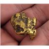 Image 3 : Huge Antique Alaskan Gold Nugget 15 Grams