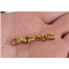 Image 1 : Antique Alaskan Gold Nugget Miners Brooch