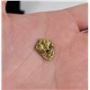 Image 1 : Large Antique Alaskan Gold Nugget 4 Grams