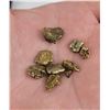 Image 1 : Large Group of Antique Alaskan Gold Nuggets