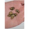 Image 2 : Large Group of Antique Alaskan Gold Nuggets