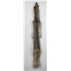 Image 1 : Beautiful Alaskan Lynx Fur Pelt Taxidermy