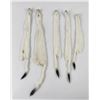Image 2 : Lot of 5 Wild Tanned Taxidermy Ermine