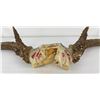 Image 2 : Gene Wensel Whitetail Deer Mount