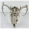 Image 3 : Gene Wensel Whitetail Deer Mount