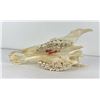 Image 3 : Gene Wensel African Skull Mount