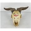 Image 1 : Gene Wensel African Skull Mount