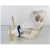 Image 2 : Gene Wensel Warthog Skull Mount
