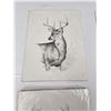 Image 2 : Lot of 4 Dave Kintzel Whitetail Deer Prints