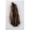 Montana Muskrat Taxidermy Fur Pelt Hide