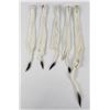Image 2 : Lot of 5 Wild Tanned Taxidermy Ermine