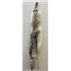 Huge Arctic Wolf Taxidermy Tanned Hide