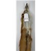 Image 3 : Beautiful Ranch Red Fox Fur Pelt Taxidermy