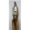 Image 3 : Beautiful Ranch Red Fox Fur Pelt Taxidermy