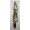 Image 2 : Beautiful Ranch Red Fox Fur Pelt Taxidermy