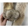 Image 4 : Beautiful Alaskan Lynx Fur Pelt Taxidermy