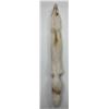 Image 1 : Beautiful Ranch Marbled Fox Fur Pelt Taxidermy