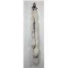 Image 1 : Beautiful Ranch Marbled Fox Fur Pelt Taxidermy