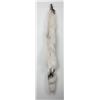 Image 2 : Beautiful Ranch Marbled Fox Fur Pelt Taxidermy