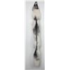 Image 1 : Beautiful Ranch Marbled Fox Fur Pelt Taxidermy