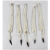 Image 2 : Lot of 5 Wild Tanned Taxidermy Ermine