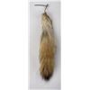 Image 2 : Real Tanned Coyote Fur Tail