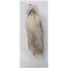 Image 2 : Real Tanned Fox Fur Tail