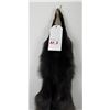 Image 3 : Beautiful Ranch Silver Fox Fur Pelt Taxidermy