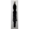 Image 2 : Beautiful Ranch Silver Fox Fur Pelt Taxidermy