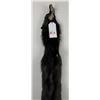 Image 3 : Beautiful Ranch Silver Fox Fur Pelt Taxidermy