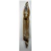 Image 2 : Beautiful Ranch Red Fox Fur Pelt Taxidermy