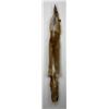 Image 2 : Beautiful Ranch Red Fox Fur Pelt Taxidermy