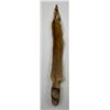 Image 1 : Beautiful Ranch Red Fox Fur Pelt Taxidermy