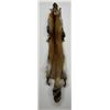 Image 1 : Beautiful Ranch Red Fox Fur Pelt Taxidermy