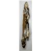 Image 2 : Beautiful Ranch Red Fox Fur Pelt Taxidermy