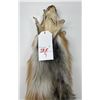 Image 3 : Beautiful Ranch Red Fox Fur Pelt Taxidermy