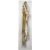 Image 2 : Beautiful Ranch Red Fox Fur Pelt Taxidermy