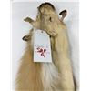 Image 3 : Beautiful Ranch Red Fox Fur Pelt Taxidermy